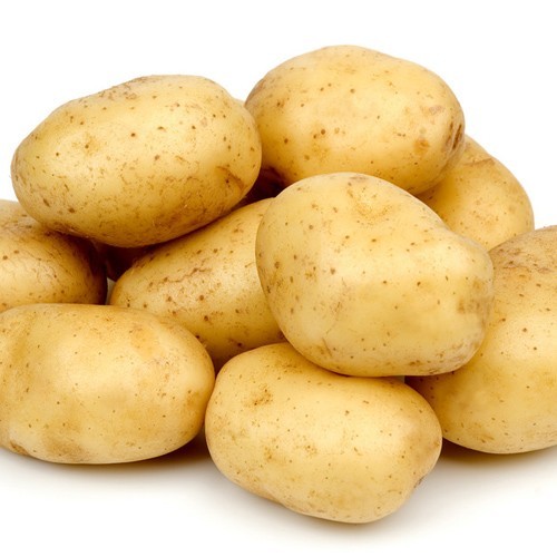 马铃薯.jpg